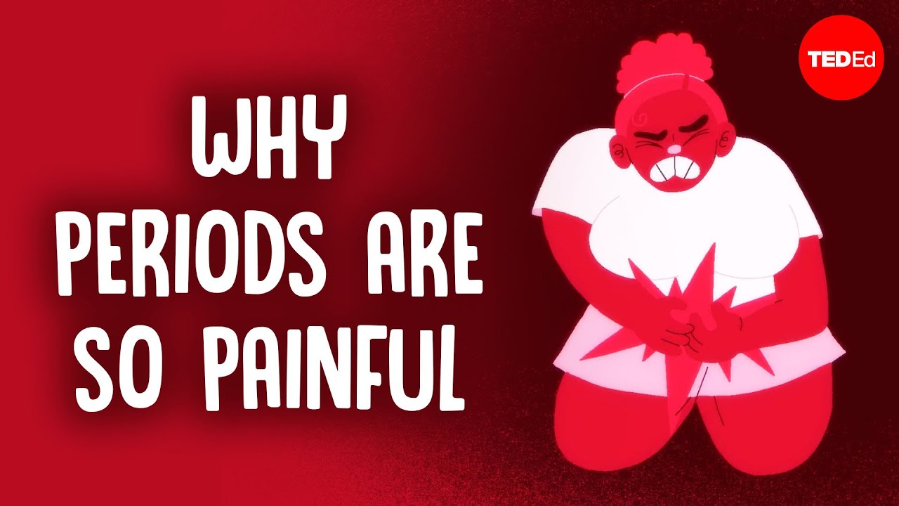 TED-Ed视频《3 things that can cause painful periods》封面图，展示痛经科学研究历史与前列腺素发现 | Aice英语学习 - Cover image for TED-Ed video 3 things that can cause painful periods